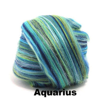 Paradise Fibers Constellation Range Aquarius / 4oz - 1