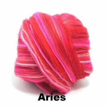 Paradise Fibers Constellation Range Aries / 4oz - 3